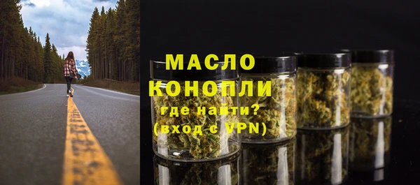 амф Новозыбков