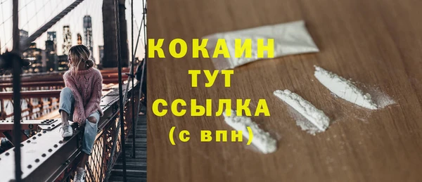 шишки Нязепетровск