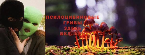 амф Новозыбков