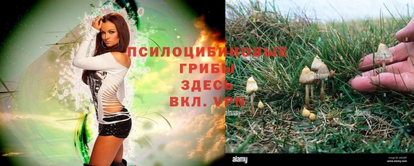 таблы Няндома
