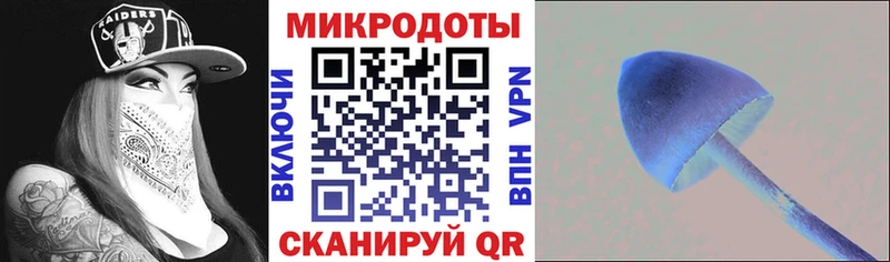 darknet клад  где купить наркоту  Качканар  Галлюциногенные грибы Magic Shrooms 