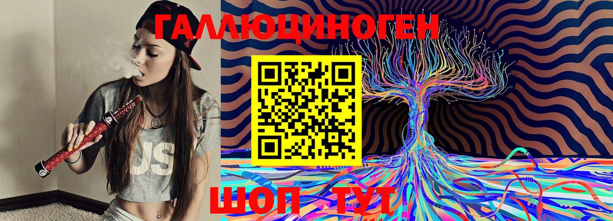 Галлюциногенные грибы Psilocybe  Вход с VPN  Качканар 