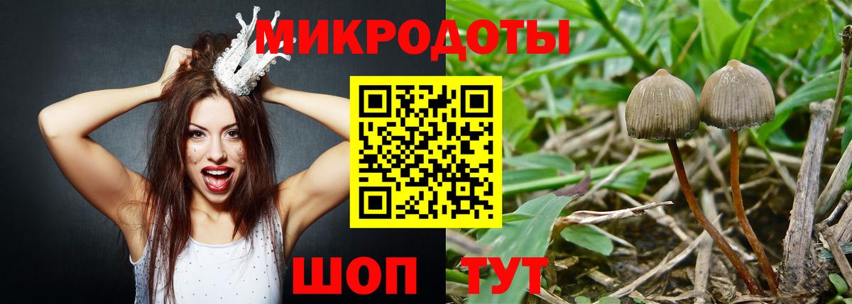 Галлюциногенные грибы MAGIC MUSHROOMS Качканар